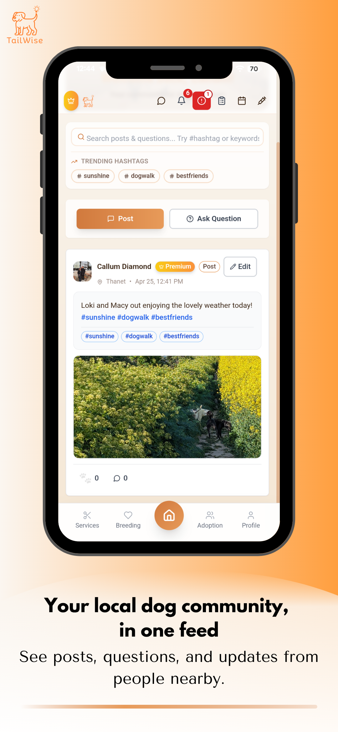 Tailwise home feed
