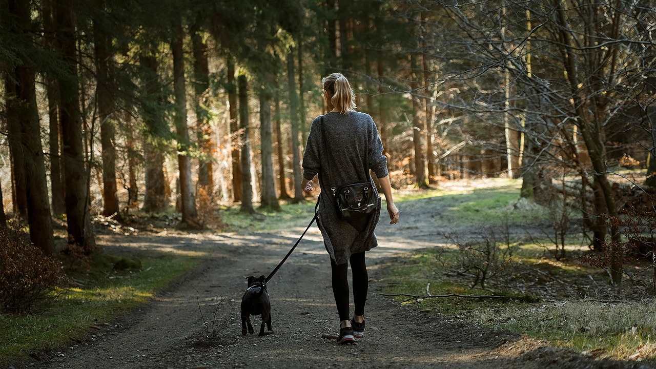 Dog owner enjoying time outdoors with their dog